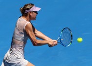 开云APP-晋级下一阶段引发热议！，莎拉波娃在法国队比赛中表现优异观众掌声雷动的简单介绍